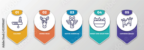 infographic template with thin line icons. infographic for culture concept. included calumet, horse head, native american totem, sweet and sour pork, capoeira brazil dancers editable vector.