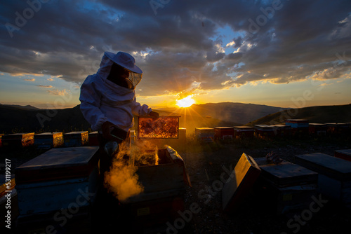 The beekeeper holds a honey cell with bees in his hands. Apiculture. Apiary. Working bees on honeycomb. Bees work on combs.