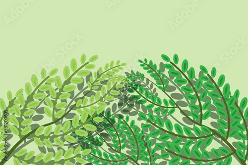 beautiful leaf or nature background in green