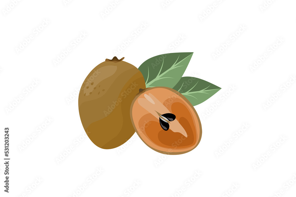 Sapodilla whole fruit and half sliced isolated on Transparent