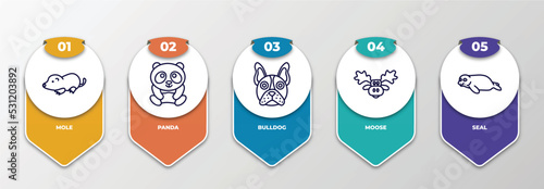 infographic template with thin line icons. infographic for animals concept. included mole, panda, bulldog, moose, seal editable vector.