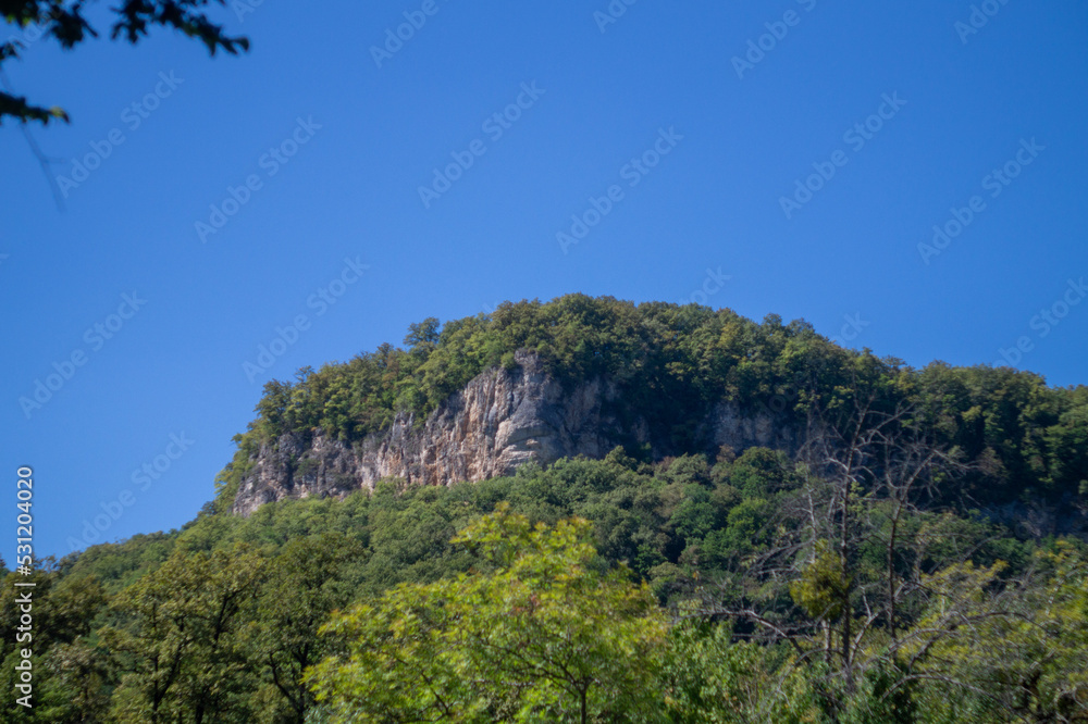 Mountain range overgrown with green forest against a blue sky