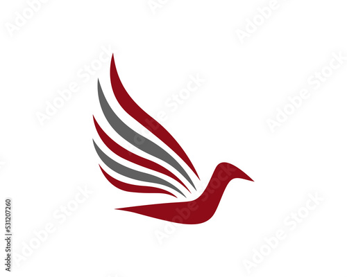 abstract bird logo icon template Free Download abstract bird logo icon template - GFXLoad