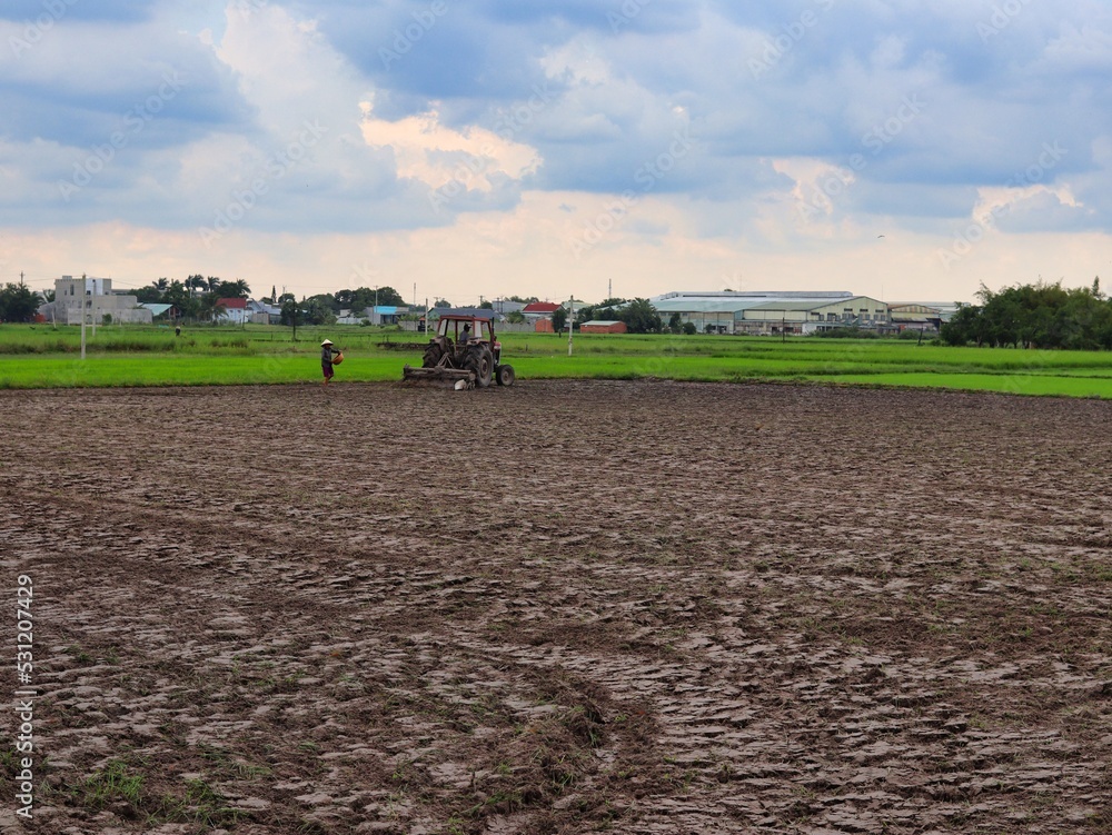 Fototapeta premium tractor working in the rice field