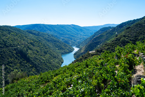 Aerial view of vineyards and Sil river, Ribeira Sacra, Ourense, Galicia, Spain photo