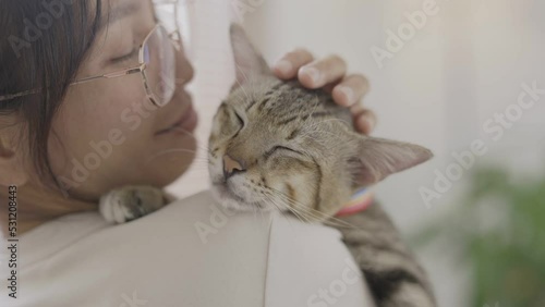 Woman petting cat on sofa in living room. Little best friends. Happy domestic animals at home.
