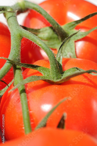 Fresh tomatoes on a light background before cooking closeup. Shallow depth of field