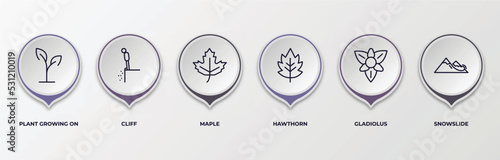 infographic template with outline icons. infographic for nature concept. included plant growing on book, cliff, maple, hawthorn, gladiolus, snowslide editable vector.