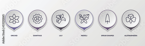 infographic template with outline icons. infographic for nature concept. included orchid, dianthus, lily, neroli, spear shaped, alstroemeria editable vector.