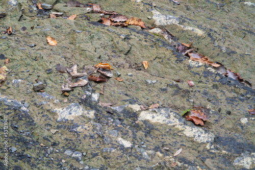 Withered oak leaves on a rocky river bank in autumn