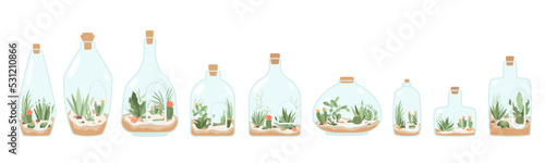 Florarium in bottle set with cactuses, succulents, leaves, branches, stones and seashells decoration on sand. Exotic small house plant, home miniature garden. Floral terrarium. Vector illustration.