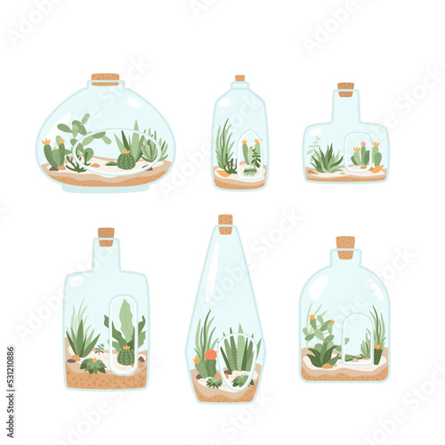 Florarium set. Floral terrarium in bottle with cork. Cactus, succulents, flowers, leaves, branches, stones on sand, seashells. Exotic small houseplant, home mini garden in jar. Vector illustration.