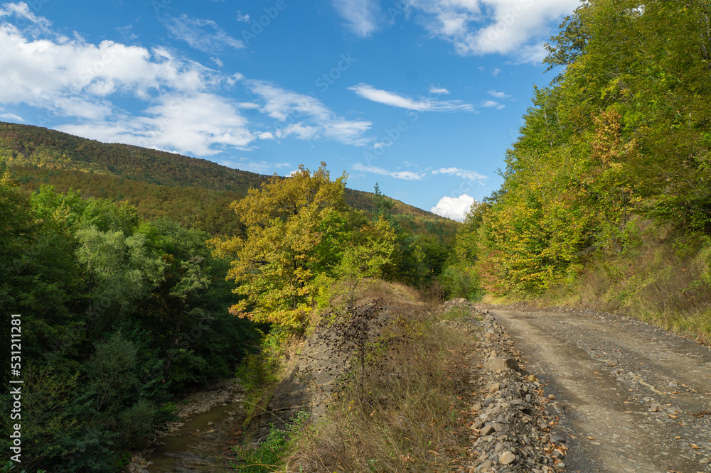 Early autumn in a hilly area in nature: a lot of greenery around a gravel road