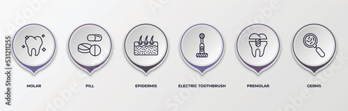 infographic template with outline icons. infographic for medical concept. included molar, pill, epidermis, electric toothbrush, premolar, germs editable vector.