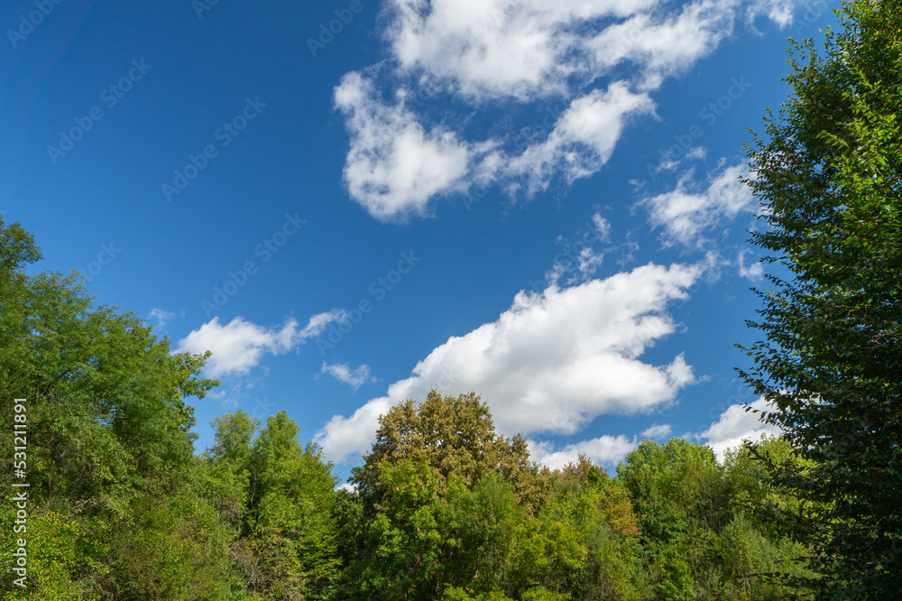 Deep blue sky with white clouds and green crowns of trees as a texture, pattern, background
