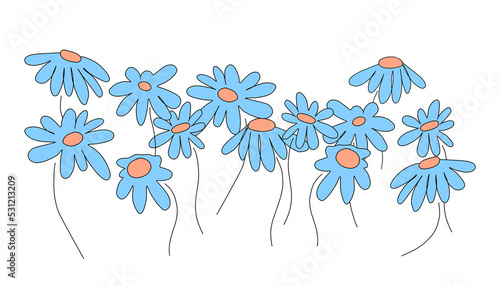 niebieski polne kwiaty na białym tle,
blue wildflowers on a white background
