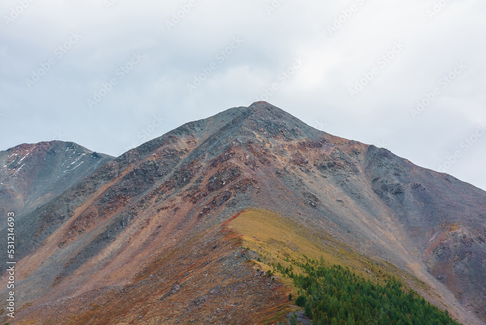 Dramatic motley autumn landscape of sunlit high mountain with rocky peaked top and forest on multicolor ridge under gray cloudy sky close-up. Vivid autumn colors on mountain in changeable weather.