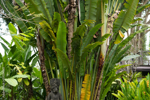 ganesha sculptures in palm tree
