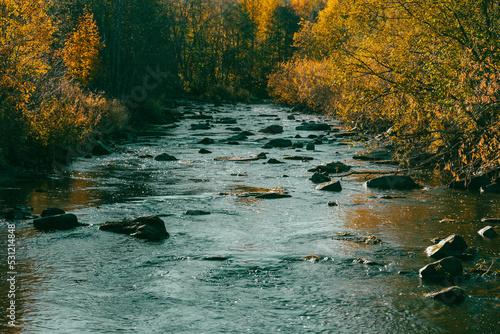 Fototapeta Naklejka Na Ścianę i Meble -  Lenaelva River in autumn. Toten, Oppland, Norway. Cinematic version.