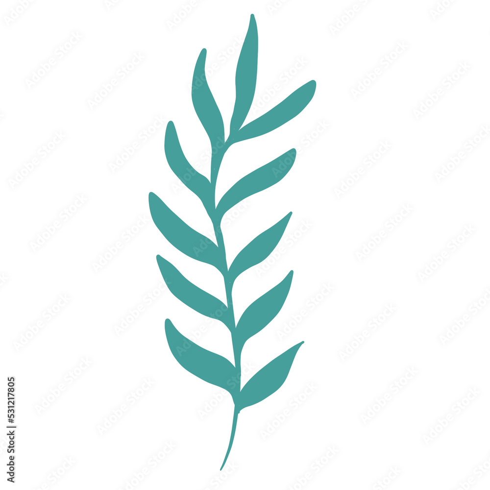 Fototapeta premium florals and leaves for decoration