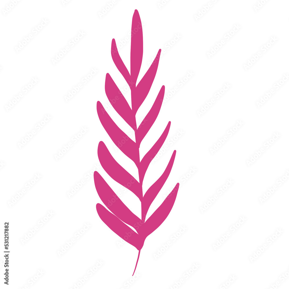 Fototapeta premium florals and leaves for decoration 