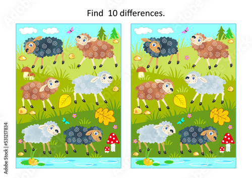 Difference game with sheep grazing at the pasture
