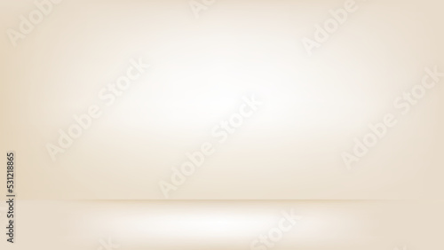 white Background,Beautiful white Wall Background With Space For Text,white room Background,white room