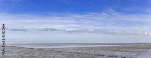 Panorama of little wooden poles at low tide in the Wadden sea  in Friesland, Netherlands photo