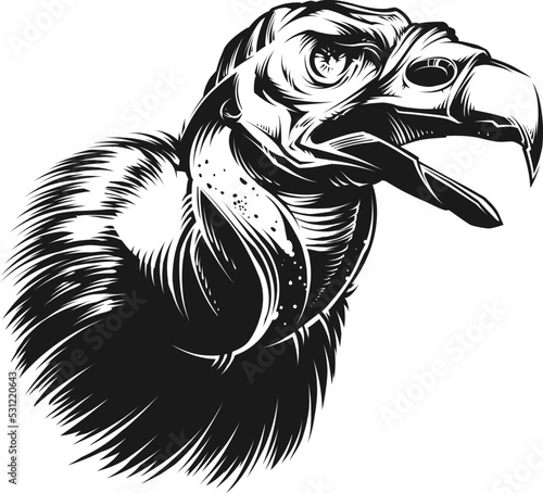 Vector Vulture