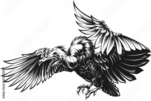 Vector Vulture photo