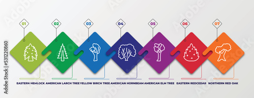 infographic template with linear icons. infographic for nature concept. included eastern hemlock tree, american larch tree, yellow birch tree, american hornbeam american elm eastern redcedar