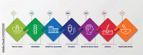 infographic template with linear icons. infographic for medical concept. included pelvic area, vertebra, hospital building front, plasma, brain in bald male head, dermis, medicines bowl editable
