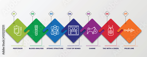 infographic template with linear icons. infographic for medical concept. included perfusion, blood analysis, atomic structure, x ray of bones, canine, tag with a cross, pulse line editable vector.