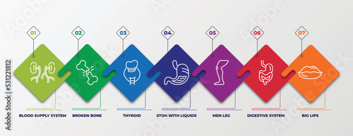 infographic template with linear icons. infographic for human body parts concept. included blood supply system, broken bone, thyroid, stoh with liquids, men leg, digestive system, big lips editable