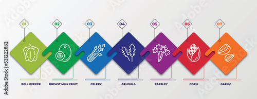 infographic template with linear icons. infographic for fruits and vegetables concept. included bell pepper, breast milk fruit, celery, arugula, parsley, corn, garlic editable vector.