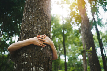 young woman tree hugging  in the forest  in concept of people love nature and  tree to protect from deforestation and pollution or climate change