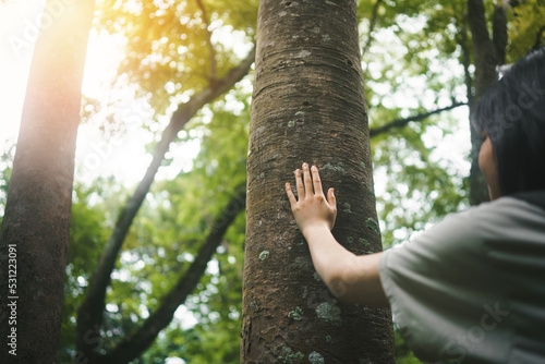 Human hand or young woman touching tree in the forest  in concept of people love nature and  tree to protect from deforestation and pollution or climate change