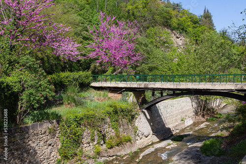 A bridge across the river among flowering trees in the Tbilisi Botanical Garden. Georgia country