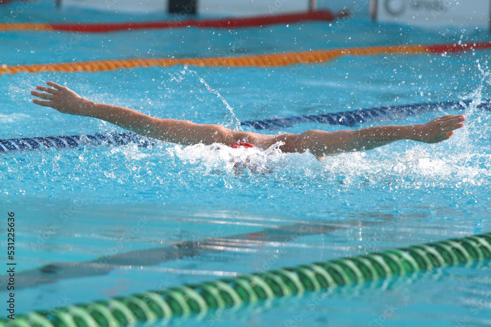Swimmer swim butterfly in swimming pool for race