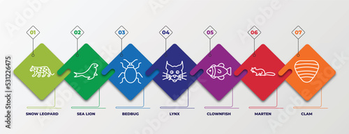 infographic template with linear icons. infographic for animals concept. included snow leopard, sea lion, bedbug, lynx, clownfish, marten, clam editable vector.