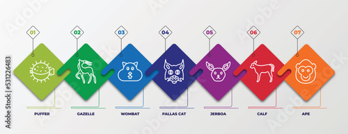 infographic template with linear icons. infographic for animals concept. included puffer, gazelle, wombat, pallas cat, jerboa, calf, ape editable vector.