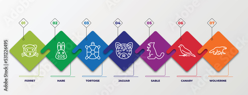 infographic template with linear icons. infographic for animals concept. included ferret, hare, tortoise, jaguar, sable, canary, wolverine editable vector.