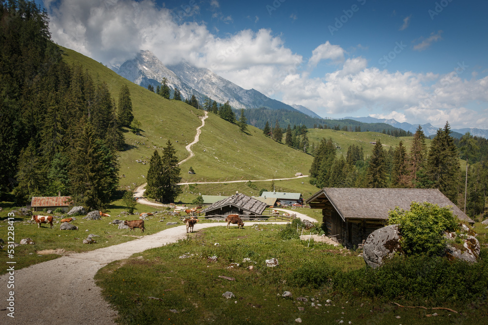 Weg zur Königsbachalm mit Blick zum wolkenverhangenem Watzmann auf dem Jenner im Nationalpark Berchtesgaden