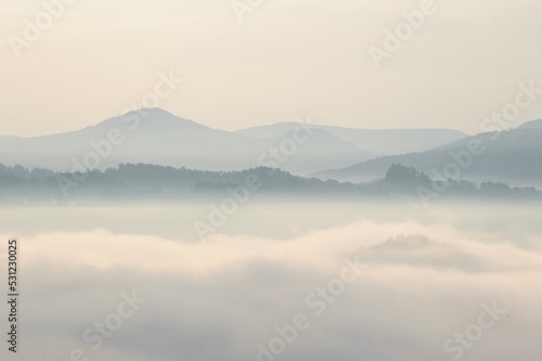 Foggy autumn landscape © ondrej83