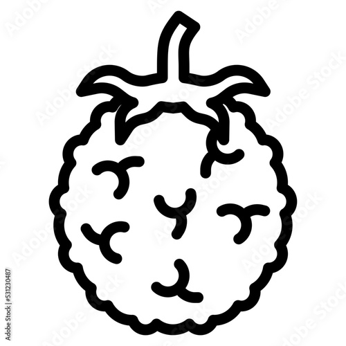 raspberry line icon