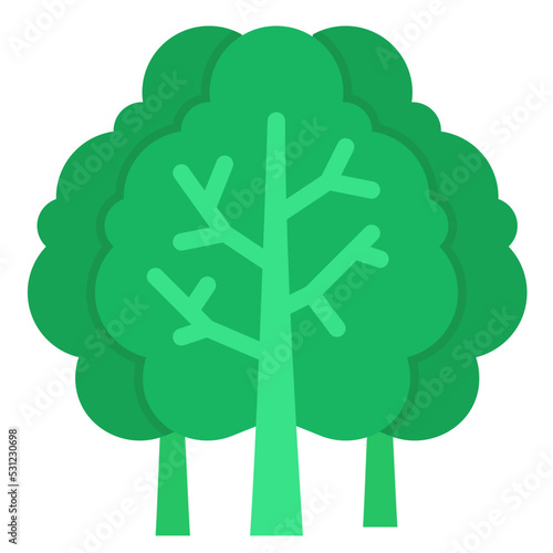 kale flat icon