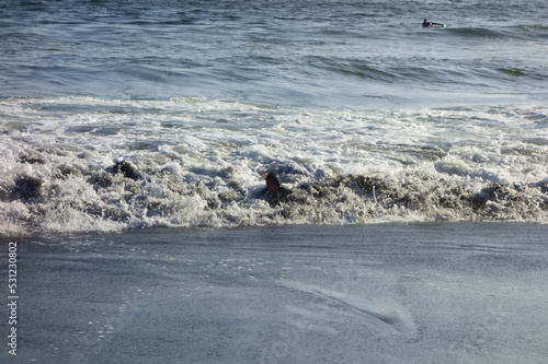 人知れず、サーフボード、ビーチで波をサーフィンする若い女性のライフスタイル 