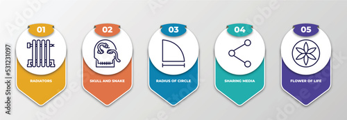 infographic template with thin line icons. infographic for shapes concept. included radiators, skull and snake, radius of circle, sharing media, flower of life editable vector.