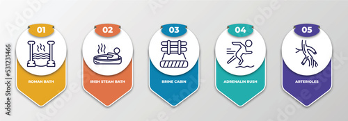 infographic template with thin line icons. infographic for sauna concept. included roman bath, irish steam bath, brine cabin, adrenalin rush, arterioles editable vector.