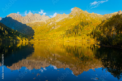Fototapeta Naklejka Na Ścianę i Meble -  Beautiful autumn landscape. Birches with yellow foliage on the shore of a mountain lake